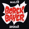 Borek Bayer - malíř, sochař