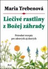 Liečivé rastliny z Božej záhrady