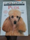 Pudl