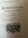 Bubnová palba