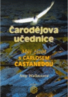 Čarodějova učednice