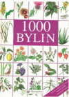 1000 bylin