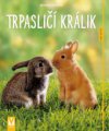 Trpasličí králik