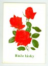 Růže lásky