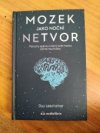 Mozek jako noční netvor
