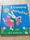 Ztracená ponožka 