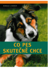 Co pes skutečně chce