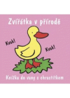 Zvířátka v přírodě
