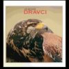 Dravci - fotografie - ptáci