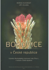 Borovice v České republice