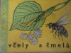 Včely a čmeláci - med a semena
