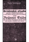 Brněnská etuda 1945, aneb, jak si Nathan Blumenbaum a Ferdi Huberů nakonec přece jen potykali =