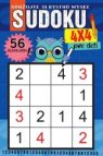 Sudoku 4x4