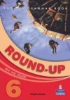 Round-Up Grammar Practice 6