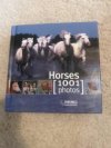 Horses 1001 photos