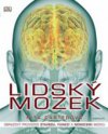 Lidský mozek