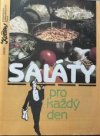 Saláty pro každý den