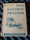 Pod klenbou pralesa