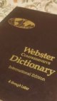 Webster Comprehensive Dictionary INternational Edition