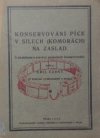 Konservování píce v silech (komorách) na záslad