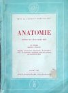 Anatomie