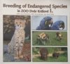 Breeding of Endangered Species in ZOO Dvůr Králové I.