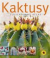 Kaktusy