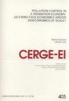 Pollution control in a transition economy: do firms face economies and/or diseconomies of scale?