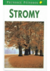 Stromy