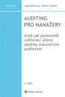 Auditing pro manažery