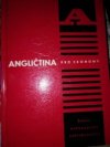 Angličtina pro ekonomy