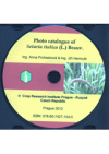 Photo catalogue of Setaria italica (L.) Beauv.