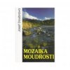 Mozaika moudrosti