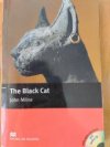 The Black Cat