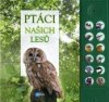 Ptáci našich lesů