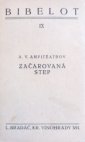 Začarovaná step