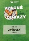 Vzácné školní obrazy