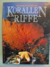 Korallen riffen