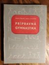 Prípravná gymnastika