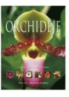 Orchideje