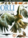 Orli