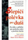 Slepičí polévka pro duši