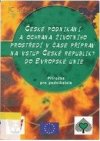 České podnikání a ochrana životního prostředí v čase příprav na vstup České republiky do Evropské unie