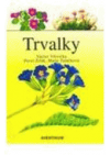 Trvalky