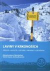 Laviny v Krkonoších