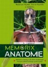 Memorix anatomie