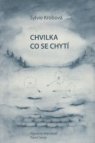 Chvilka, co se chytí
