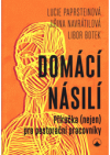 Domácí násilí