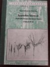 Sypavka borová - lophodermiosa borovice lesní - a boj proti ní
