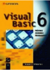 Visual Basic 6